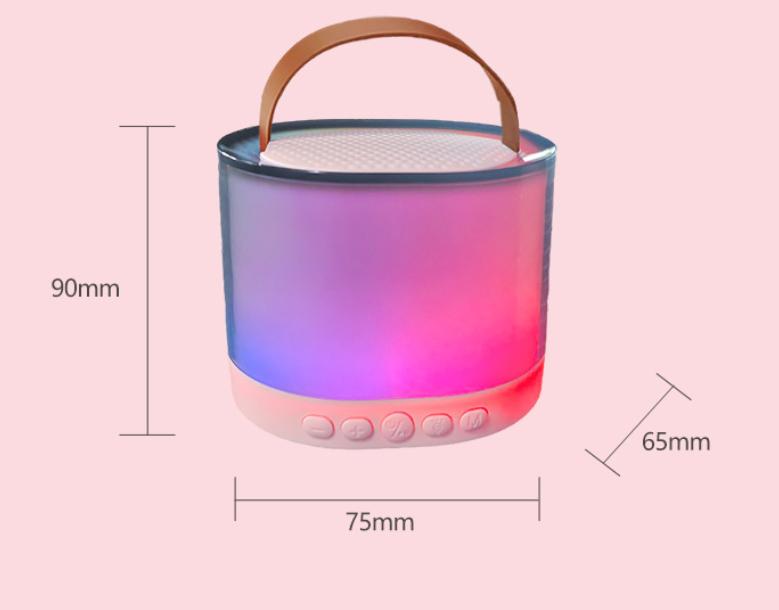 Bluetooth Speaker with Colorful Lights – Portable Handheld Wireless Microphone All-in-One Sound System for Home KTV